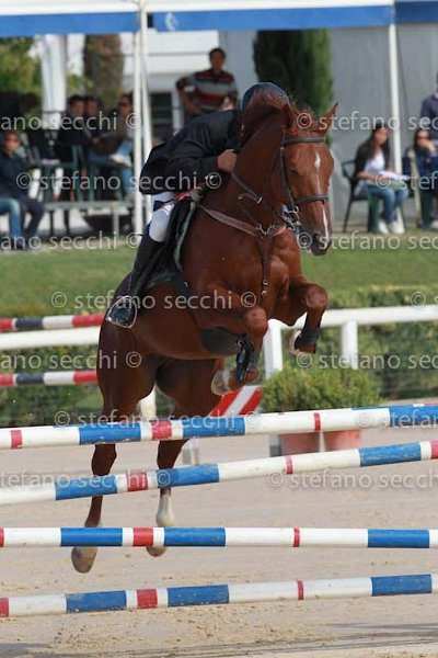 CONSUMATI_BRIEGEL_GIO CAV 2011_SS3_0570.jpg